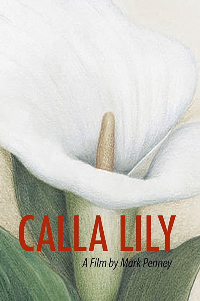 постер Calla Lily
